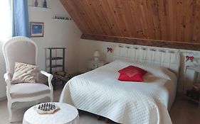 Tulipe24